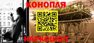 хмурый Аргун