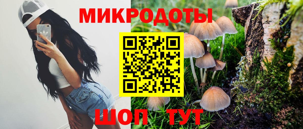 Галлюциногенные грибы Cubensis  Вход с VPN  Вятские Поляны 